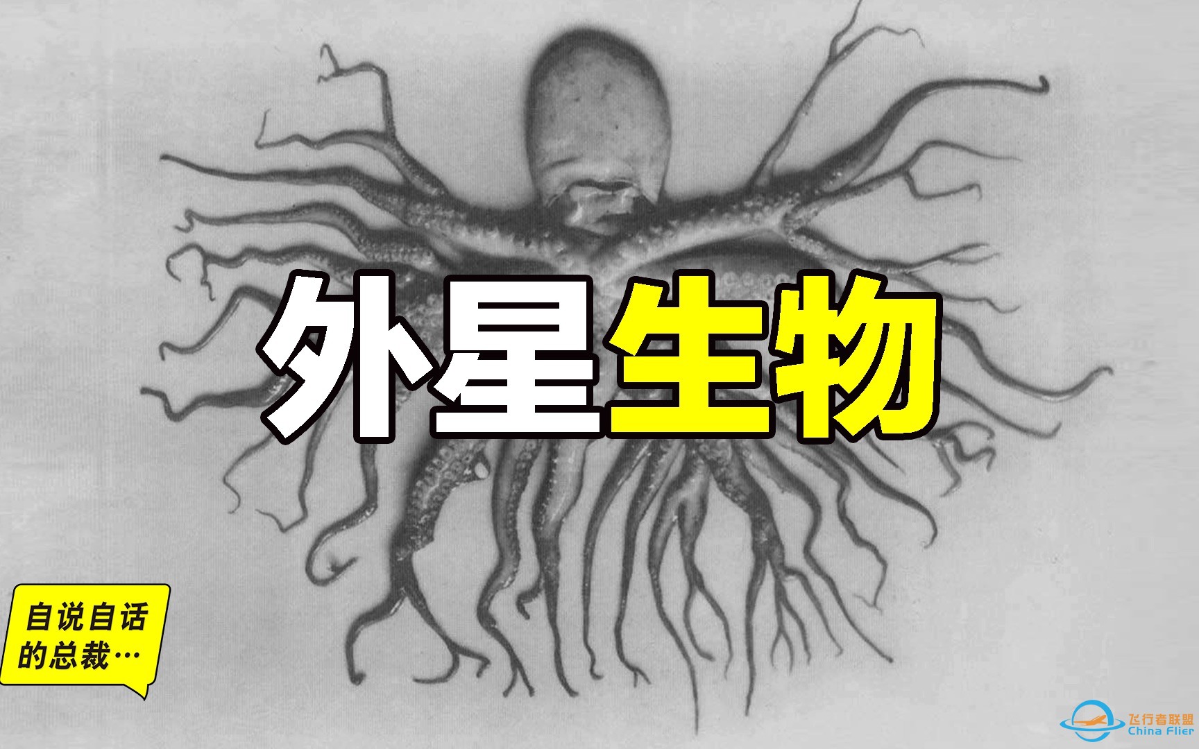 外星生物：这是一群6亿年前战败的外星人吗-1.jpg