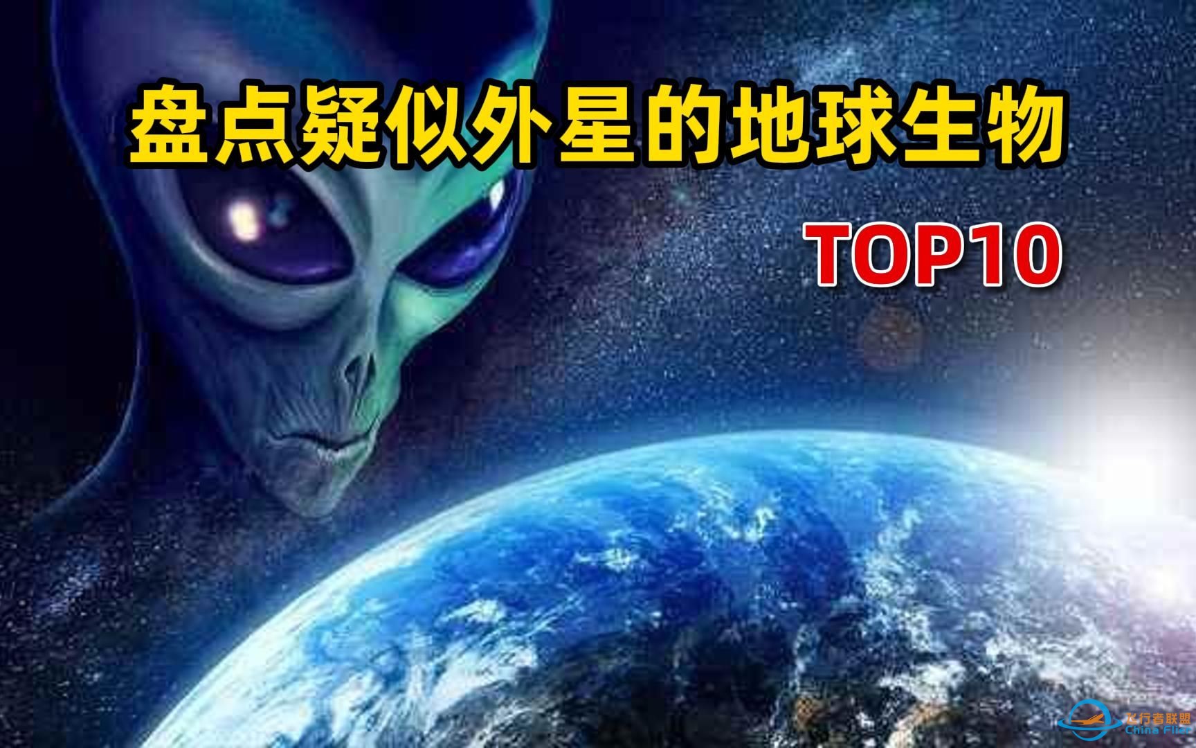 闻所未闻！10种很像外星物种的地球生物！-1.jpg