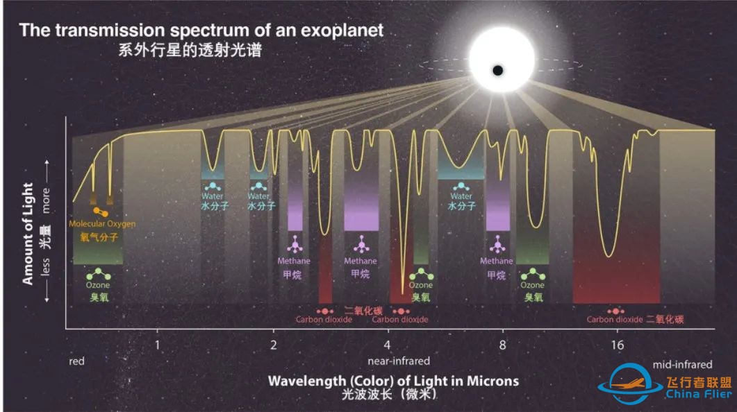 发现一个外星生命总共分几步? | 红杉爱科学w4.jpg