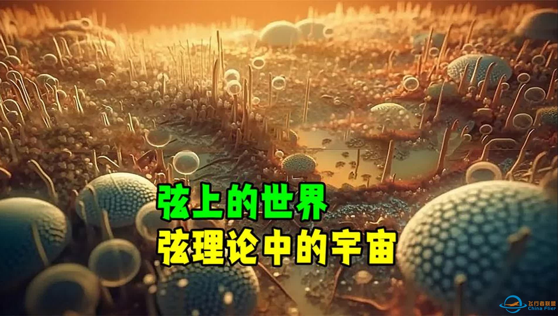 弦上的世界—弦理论中的宇宙-1.jpg