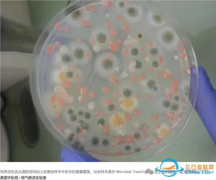 太空站未来最大的敌人可能是微生物?w2.jpg