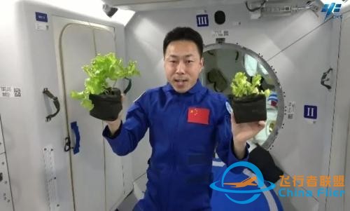 “想在太空种红薯”，太空种植挑战多多，这些植物曾“上天”-11.jpg