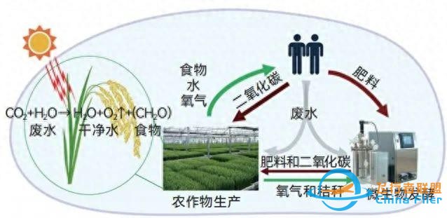 在太空种粮、种菜进展到了哪一步？-1.jpg