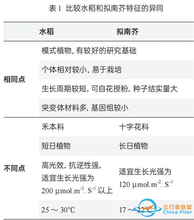 在太空种粮、种菜进展到了哪一步？-2.jpg