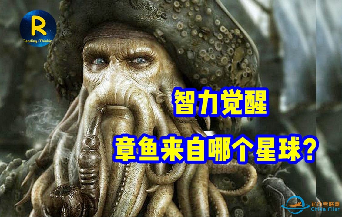 战胜5岁儿童的章鱼，智力从天而降，简直让人怀疑它是外星物种-1.jpg