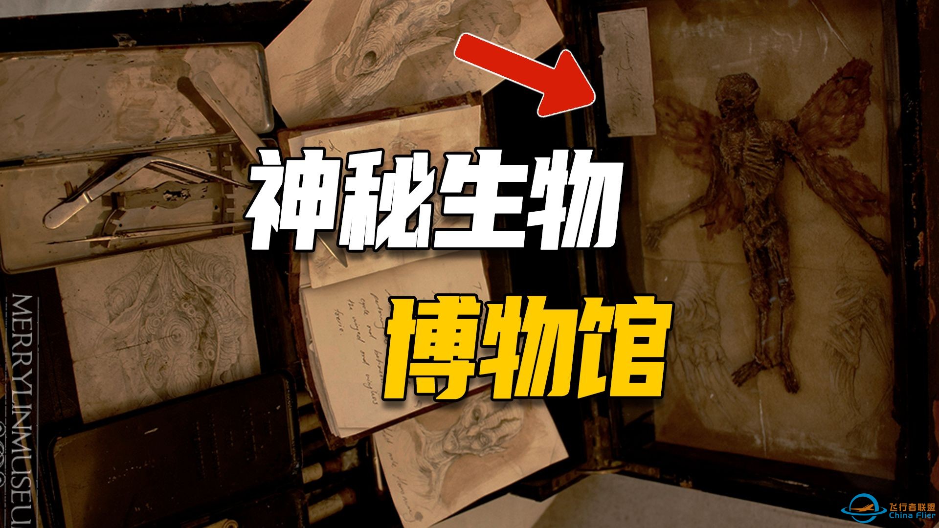 精灵、龙、狼人竟然真实存在？英国版山海经：梅林博物馆，生物学家借此变成“不死人”？-1.jpg