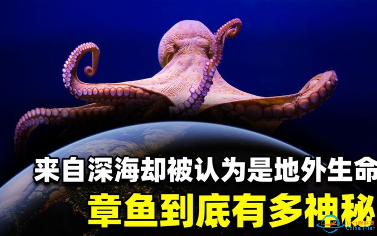 为什么会有科学家认为，章鱼可能是外星生物，有科学依据吗？-1.jpg