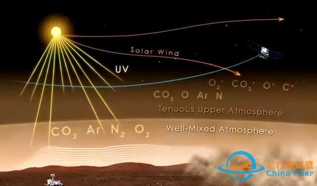 美国探测器2008年就拍到火星有大树和森林？照片不假，存在生命？-5.jpg