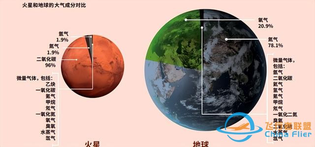 美国探测器2008年就拍到火星有大树和森林？照片不假，存在生命？-14.jpg