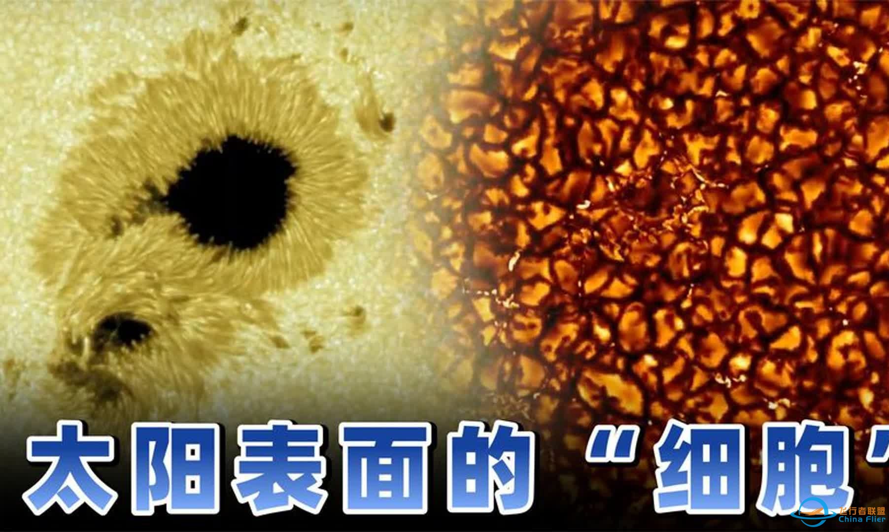 人类探测器第一次触碰到太阳 发现太阳表面竟然有一层细胞结构-1.jpg