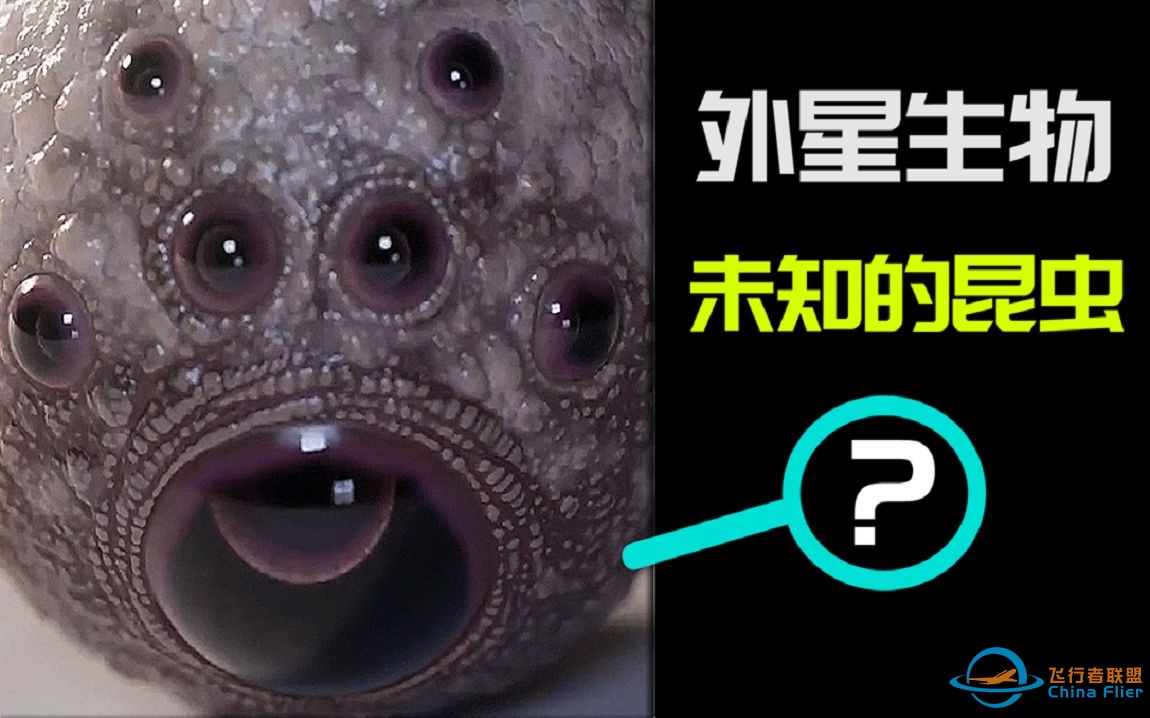 【密恐慎入】俄罗斯捕获的长满眼睛的大肉球是怎么回事？是外星生物？还是未知生物的卵呢？-1.jpg