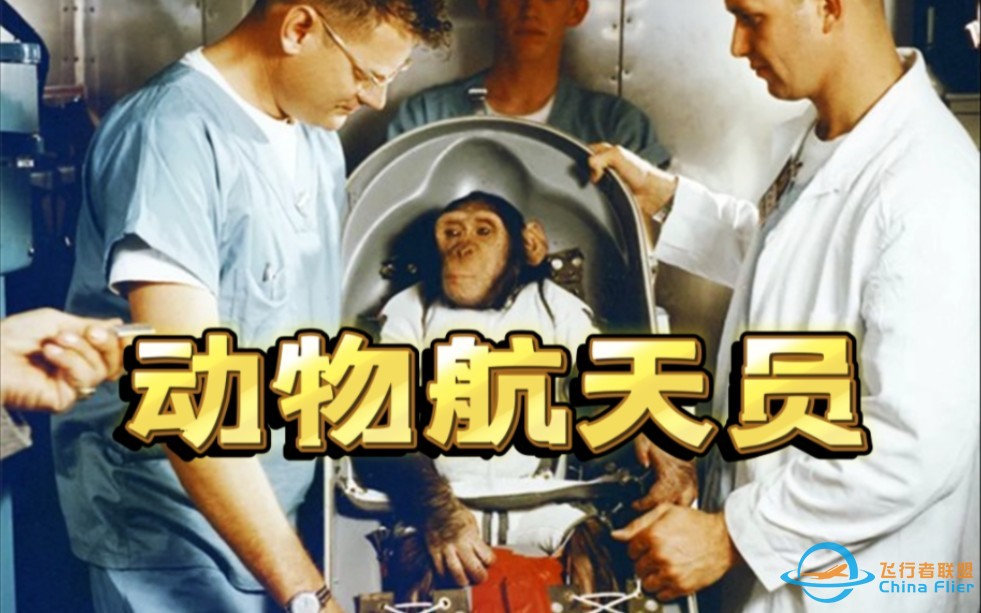 【空间站】哪些动物比你先上太空？-1.jpg