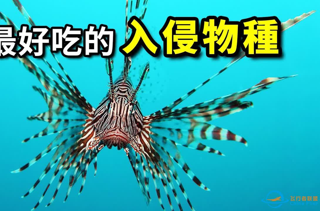 最好吃的入侵物种！但至今来路不明酷似外星生物的入侵物种4-1.png