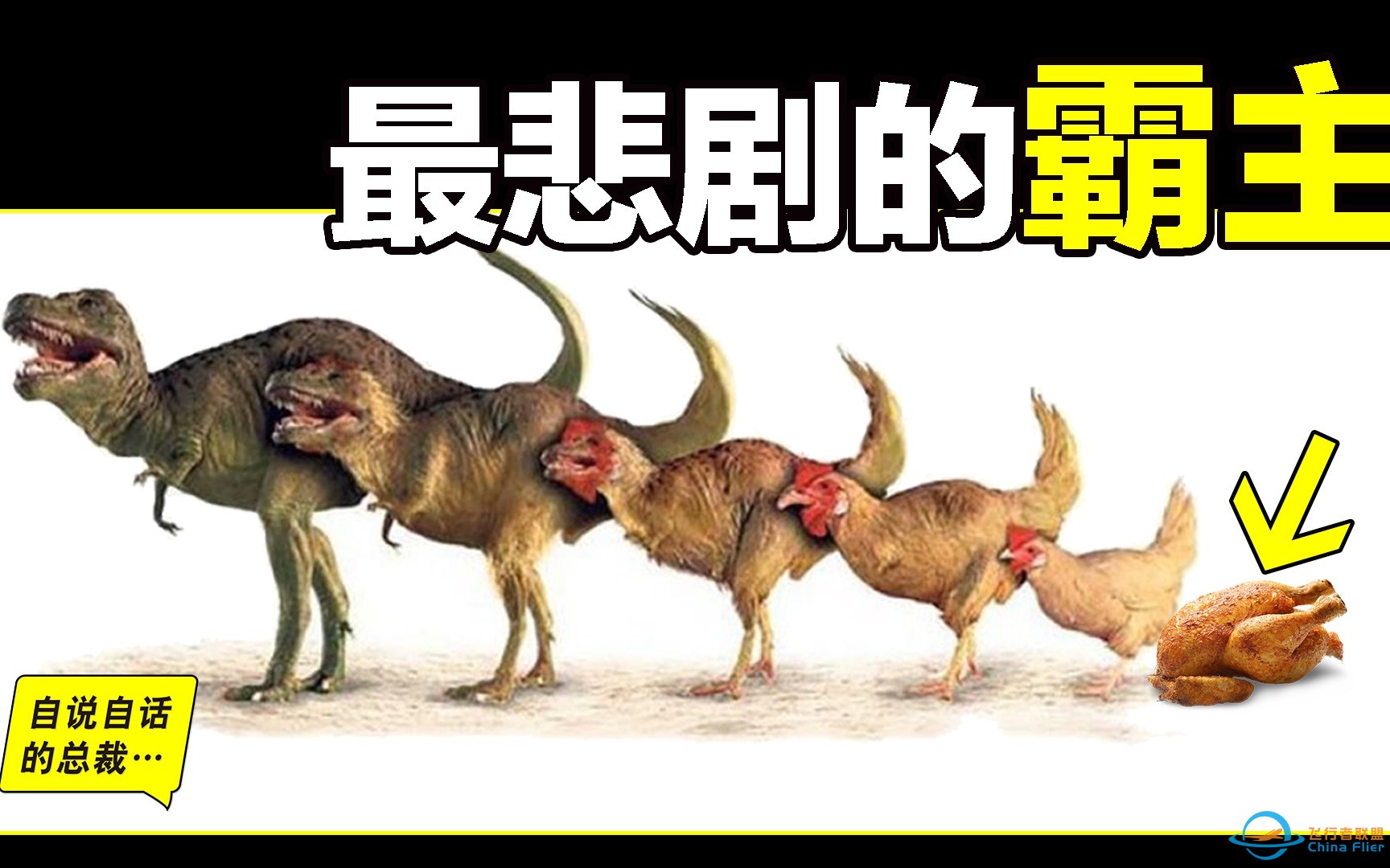 鸡为何每天下蛋？鸡蛋被拿走不生气？恐龙时代BUG，鸡是地球霸主-1.jpg