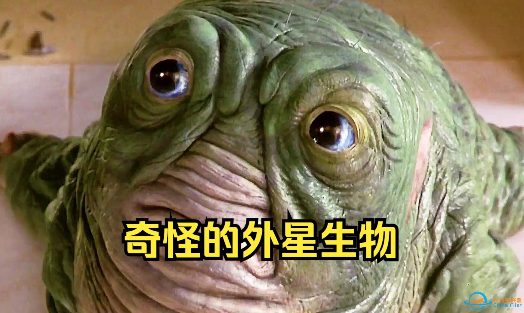 来自外太空的奇怪生物-1.jpg