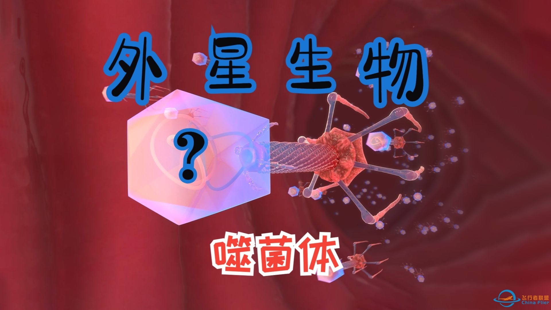 地球上的外星生物？噬菌体：消灭细菌的秘密武器！【斑马百科动画】-1.jpg